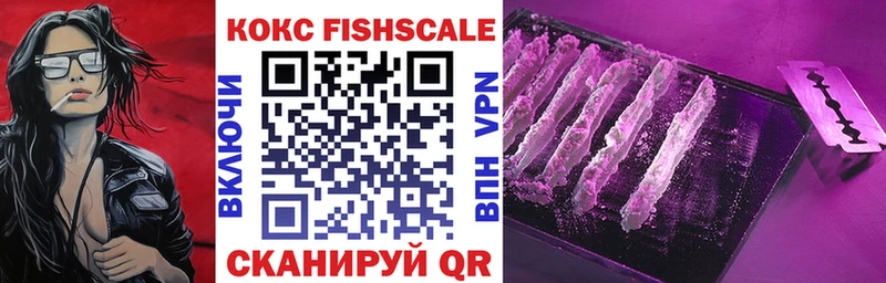 COCAIN Fish Scale  где купить наркотик  Заринск 