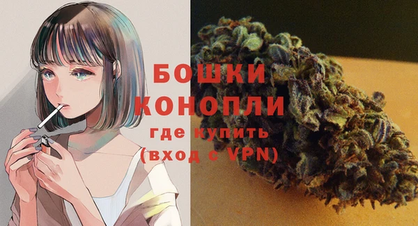 шишки Наволоки