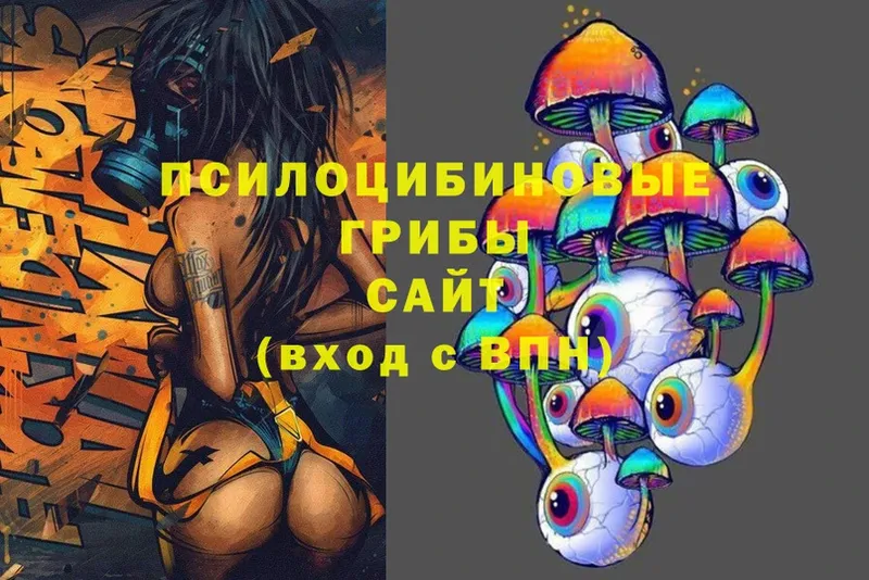 Псилоцибиновые грибы Psilocybine cubensis Заринск