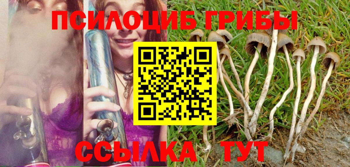 Псилоцибиновые грибы Psilocybine cubensis Заринск
