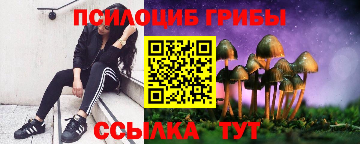 Галлюциногенные грибы мицелий Заринск