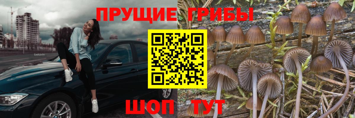 Галлюциногенные грибы MAGIC MUSHROOMS  Галлюциногенные грибы прущие грибы  Заринск 