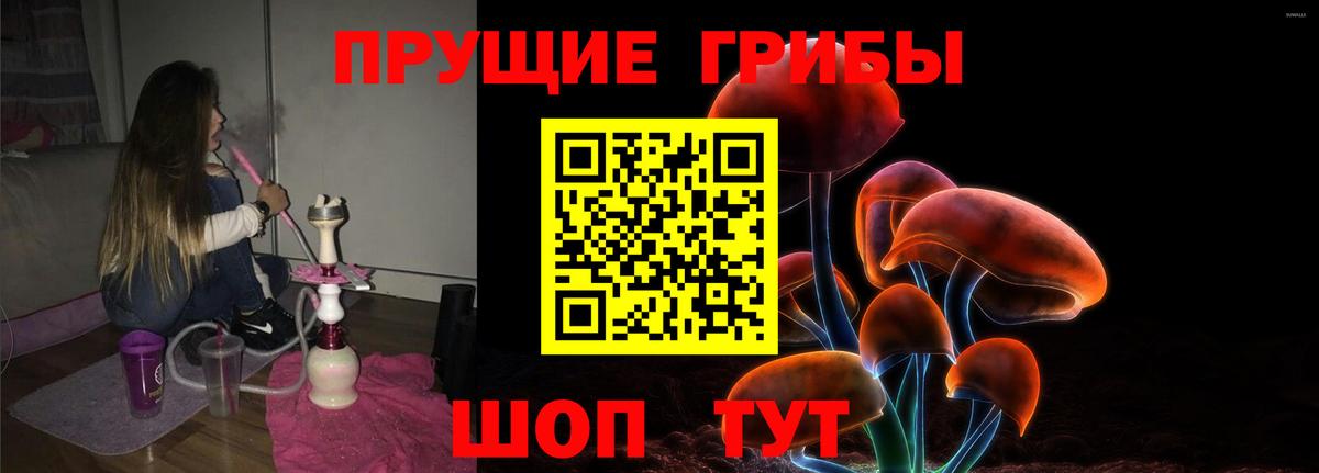 Галлюциногенные грибы GOLDEN TEACHER  Вход с VPN  Галлюциногенные грибы мицелий  Заринск 